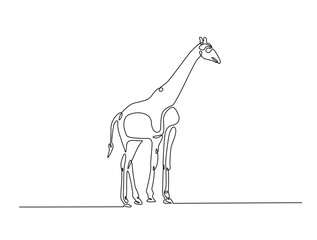 Fototapeta premium Continuous one line drawing of Giraffe with white background. Giraffe single line art vector illustration. Editable vector.