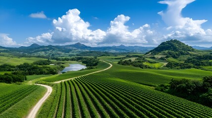 Fototapeta premium A scenic view of a sustainable rural farm with rows of lush green crops a natural water system and a rolling picturesque landscape in the countryside