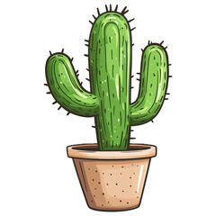 cactus in a pot