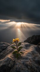 A small yellow flower is growing on a rock near the ocean