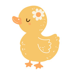 cute chick