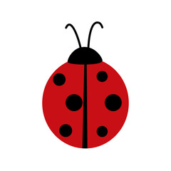 Ladybug icon isolate on white background.