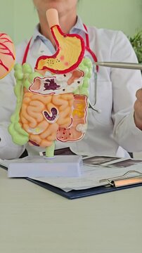 Doctor of intestines stomach with diseases. Abdominal organs and treatment of stomach diseases