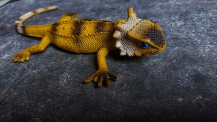 Gecko is a common name for large lizards or other types of lizards from the Gekkonidae tribe.