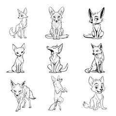 Obraz premium Collection of jackal Outline Design - jackal Vector illustration in black and white 