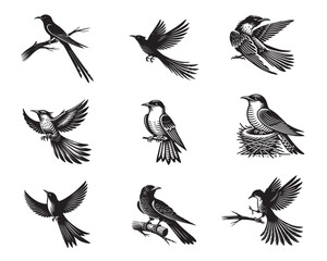 Obraz premium Set of Yellow-billed cuckoo silhouette Design - Yellow billed cuckoo vector illustration 