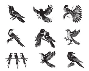 Obraz premium Set of Yellow-billed cuckoo silhouette Design - Yellow billed cuckoo vector illustration 