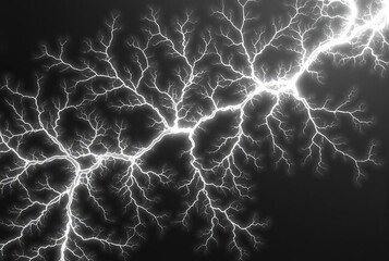 Lichtenberg Figure Branching fractal like patterns resembling el