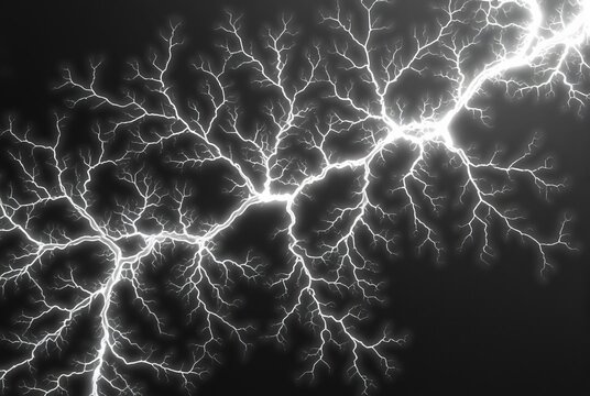 Lichtenberg Figure Branching fractal like patterns resembling el