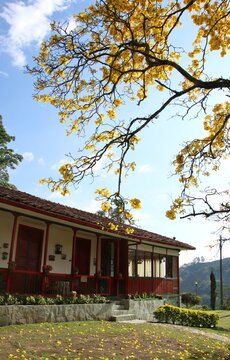 Fincas de el eje cafetero en Salento Colombia