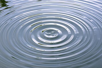 Water Ripples Concentric circles of expanding waves created by a