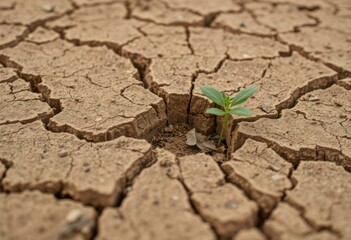 Cracked earth Extreme close up of dry cracked earth with a small