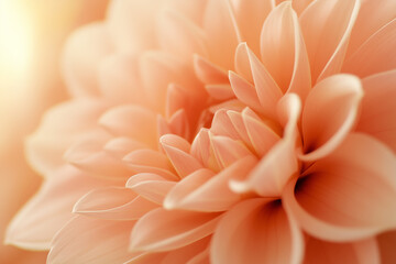 Obraz premium Delicate Peach Blossom Close-Up