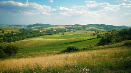 Lush Green Landscape Under Blue Sky