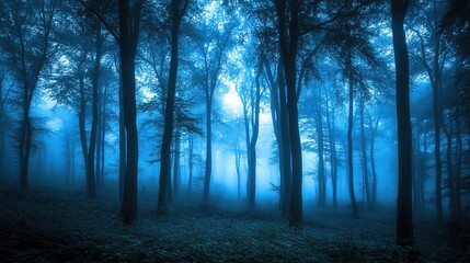 Mystical Forest in Blue Fog with Tall Trees
