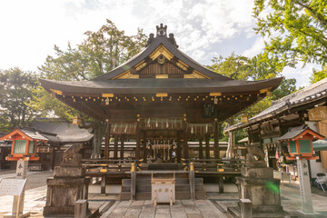 Fototapeta premium temple in japan