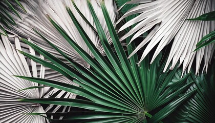 Close up of green and grey palm leaves