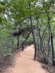 A path of contemplation in the mountains of Korea