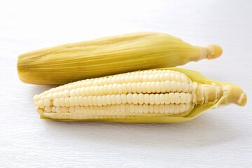 Boiled White corn on white background  close up