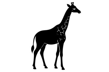 Giraffe Silhouette | isolated vector silhouette illustration on white background