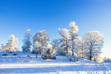 Footprints in the snow on a path by a hill with frosty trees