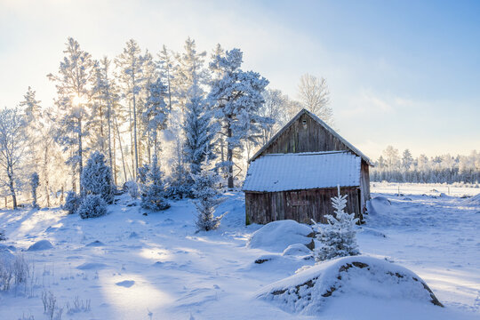 Barn in a cold snowy winter landscape by a grove of trees with hoarfrost