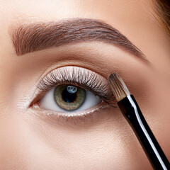Masterful Eyebrow Grooming Close-Up Artistry