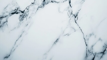 Elegant White Marble Background with Dark Veins