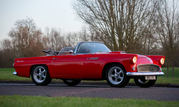 1955 red Ford Thunderbird  car