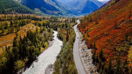 Obraz premium the car is driving along the Chuisky highway in Altai in autumn