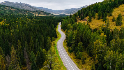 the car is driving along the Chuisky highway in Altai in autumn