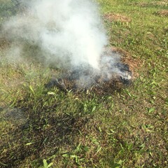 fire in the forest