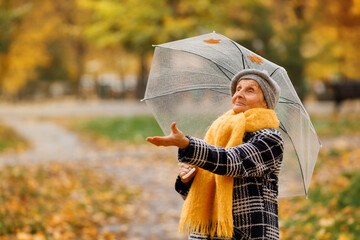 An elderly woman in a yellow scarf stands in an autumn park, holding a bouquet of yellow leaves and...