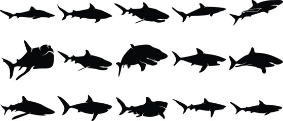 Shark, whale, dolphin, fish silhouette vector icon set illustration.