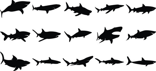 Shark, whale, dolphin, fish silhouette vector icon set illustration.