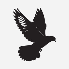Dove silhouette isolated image
