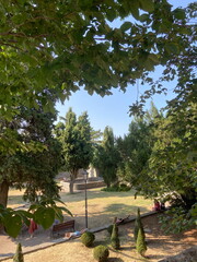 Panorama from above of neat streets of San Marino surrounded by abundant green decorative vegetation and dense park trees.