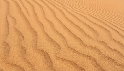 Fototapeta premium Sand ripples in the desert