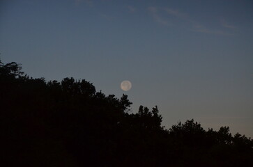 A serene winter night sky featuring the glowing moon surrounded by darkness and subtle atmospheric...