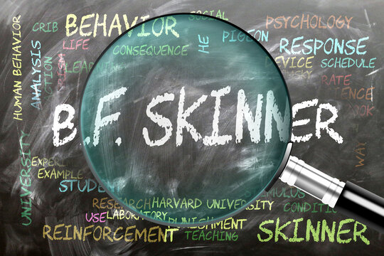 B.F. Skinner being studied, examined - under close inspection. Most important subjects and ideas closely related to b.f. skinner. ,3d illustration