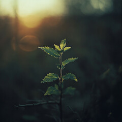 Nature in Full Bloom: The Serenity of a Floral Wonderland