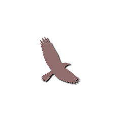 Obraz premium Flying Crow bird icon isolated on transparent background