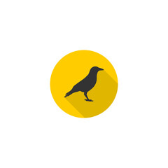 Crow icon isolated on transparent background