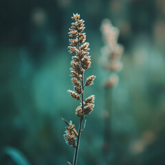 Nature in Full Bloom: The Serenity of a Floral Wonderland