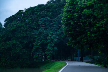 landscape lake views at Ang Kaew Chiang Mai University in nature forest Mountain atmosphere rain fog sky abstract with white clouds. cloudy sky background