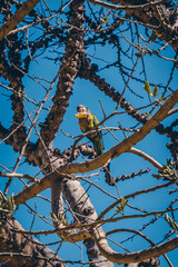 Discovery of the tourist city of Cadiz, its historical monuments and beaches in Spain