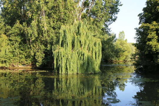 Poissy - Sur les Bords de la Seine