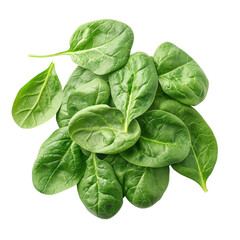 Fototapeta premium Fresh spinach leaves, isolated on white background 