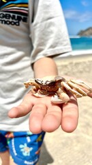A boy holding a crab at the beach