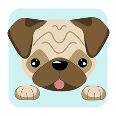 Pug dog face flat vector illustrtion. Pug dog icon